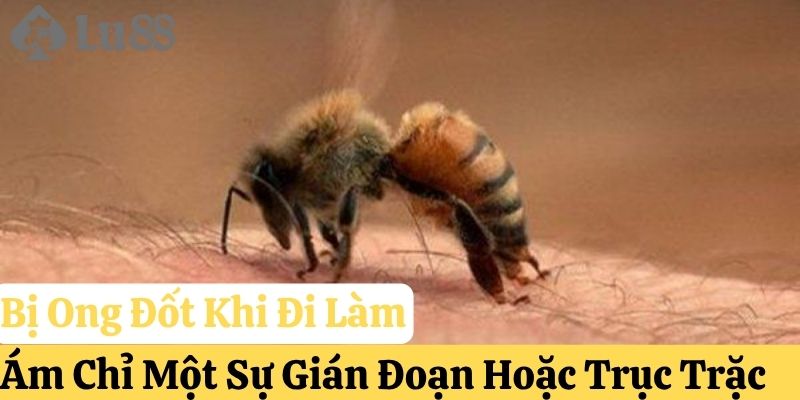 tự nhiên bị ong đốt đánh con gì lu88
