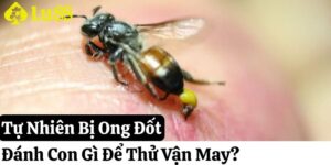 tự nhiên bị ong đốt đánh con gì lu88 thumb
