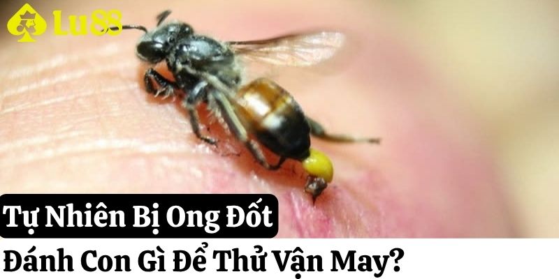 tự nhiên bị ong đốt đánh con gì lu88 thumb