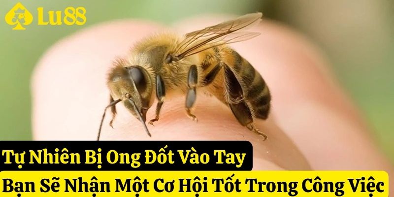 tự nhiên bị ong đốt đánh gì