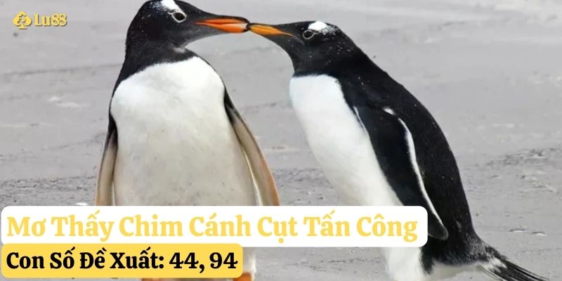 mơ thấy chim cánh cụt lu88