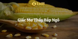 mơ thấy bắp ngô lu88 thumb