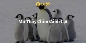 mơ thấy chim cánh cụt lu88 thumb