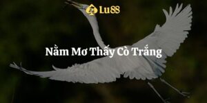 nằm mơ thấy cò trắng lu88 thumb